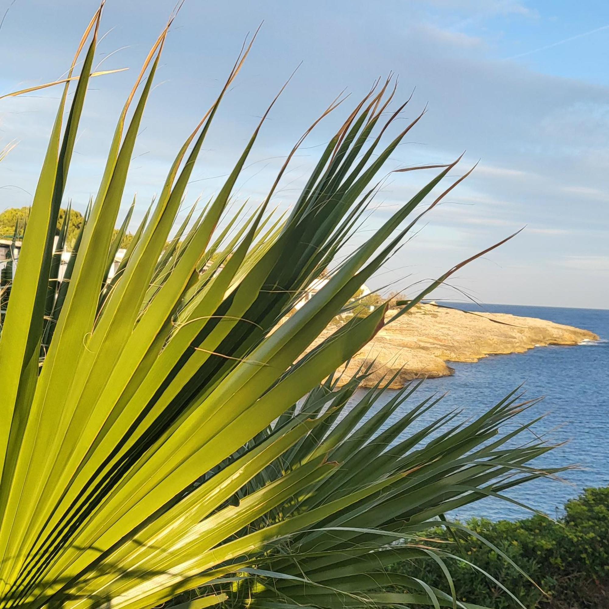 Holiday home Casa Voramar